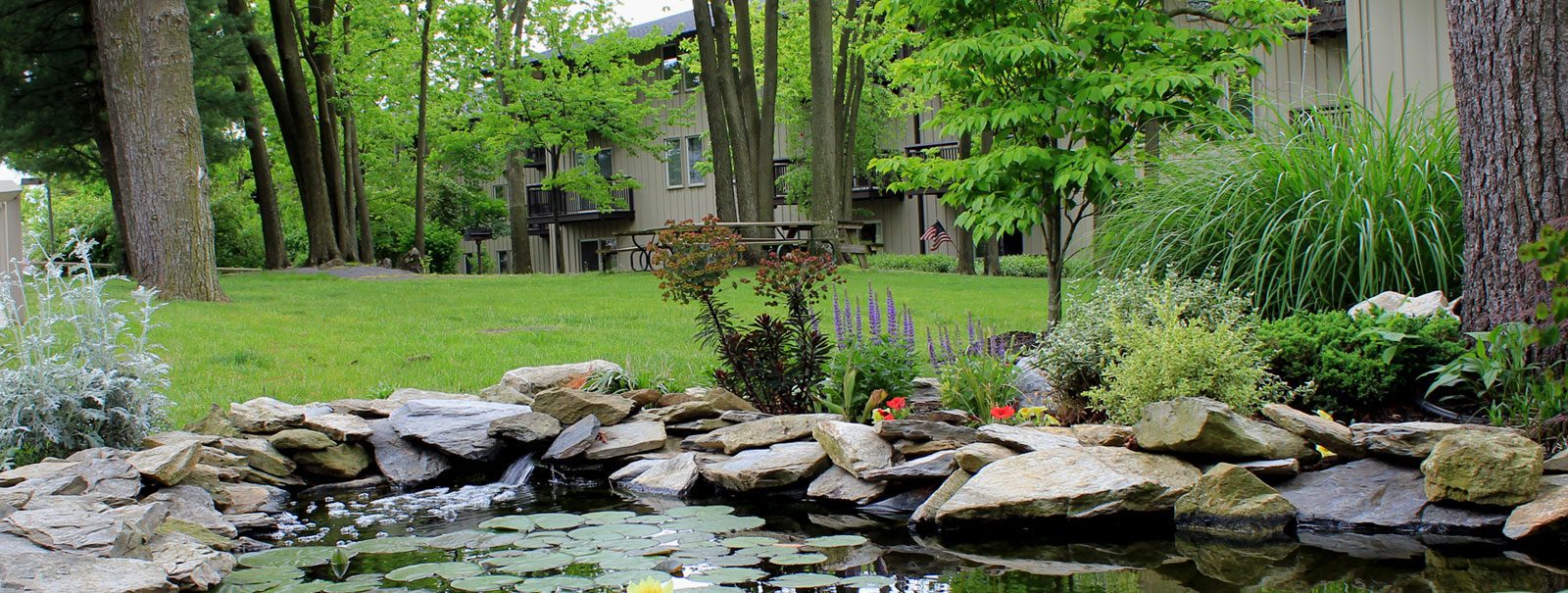 Homewood Living Martinsburg photo 2