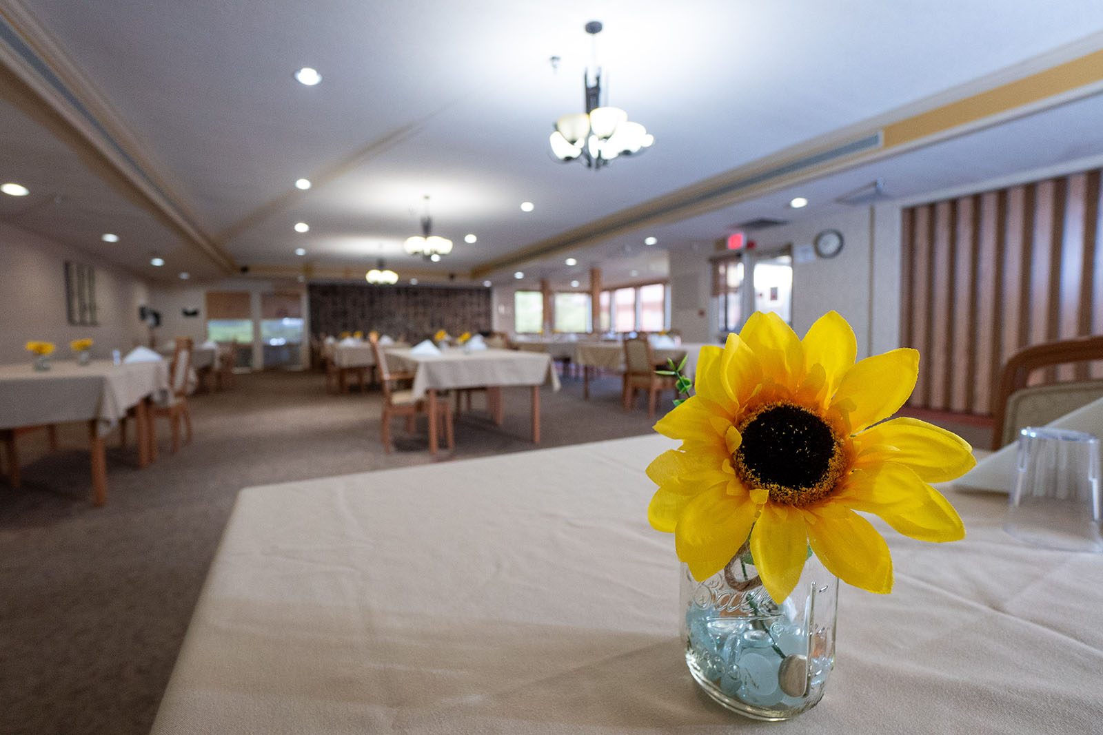 Loyalhanna Senior Suites & Personal Care photo 2