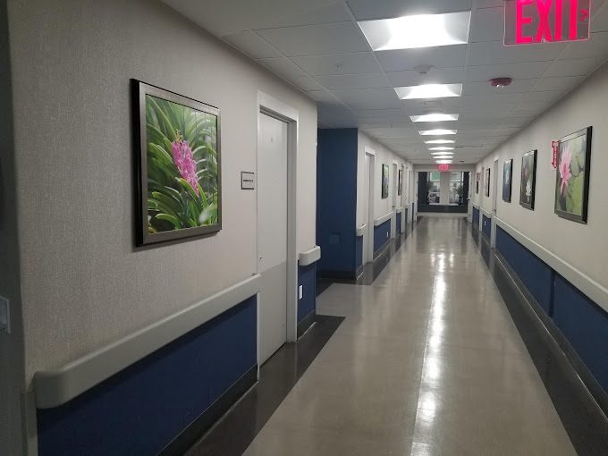 Wyndmoor Hills Rehabilitation and Nursing Center photo 1