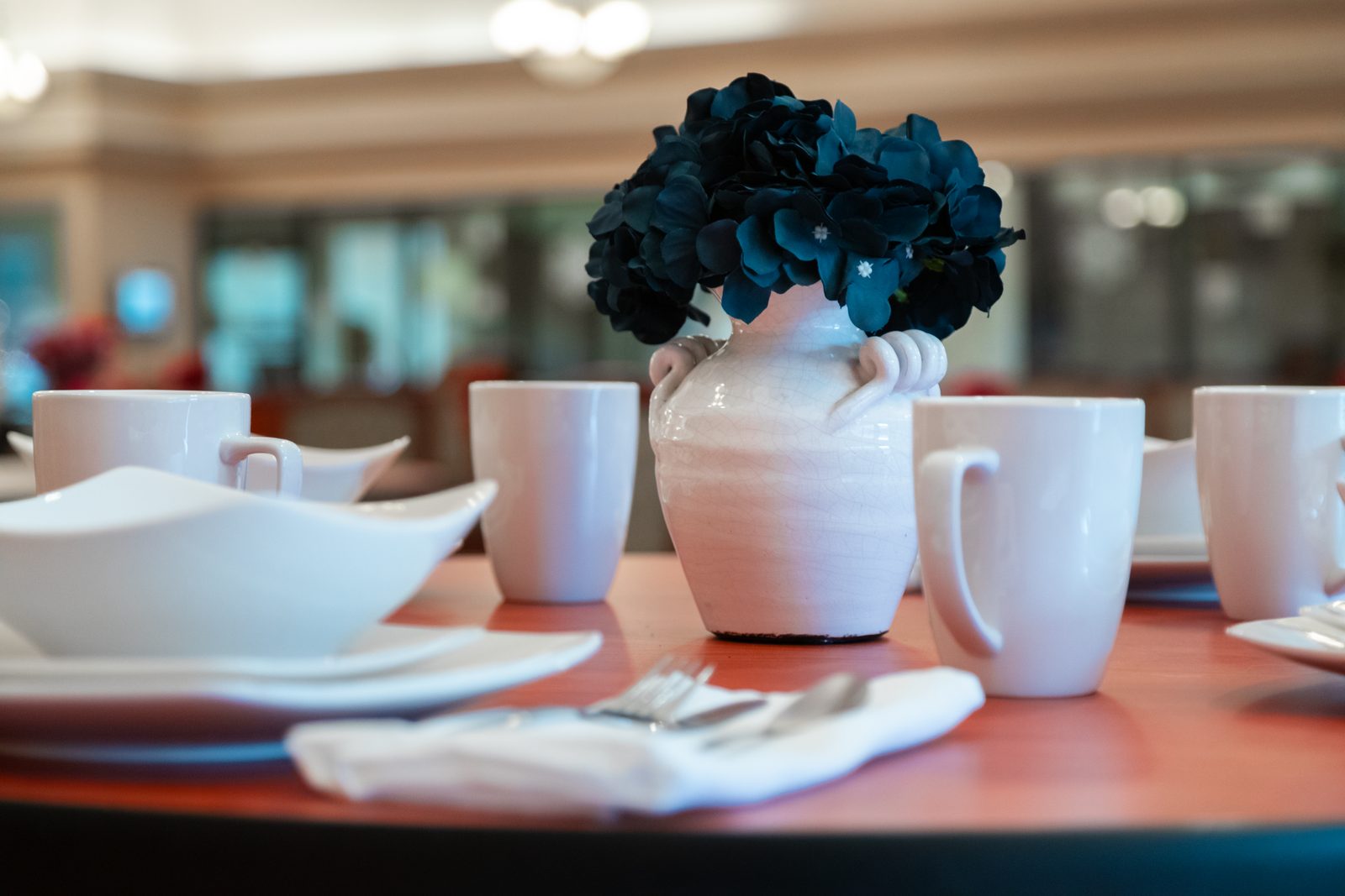 Shenandoah Senior Living Community photo 5
