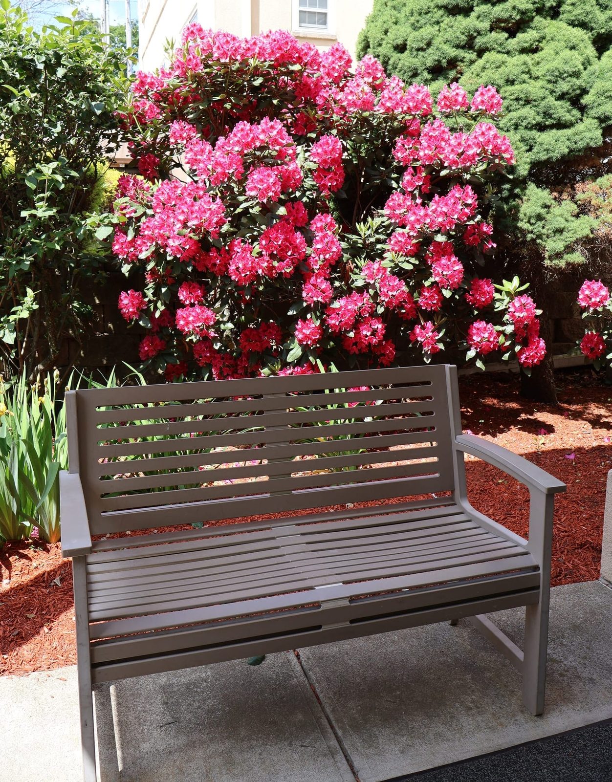 Adviniacare Pawtucket Pleasant Rehab Center, LLC photo 1