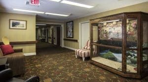 NHC Healthcare - Charleston photo 2