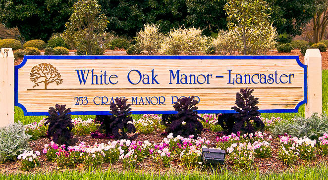 White Oak of Lancaster
