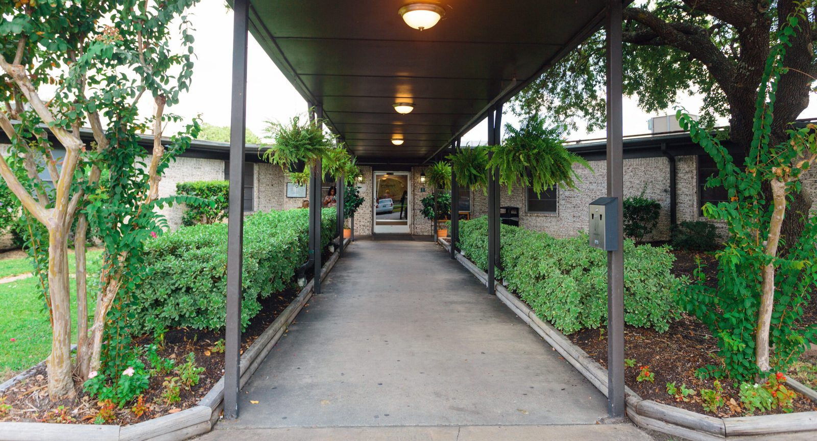 Focused Care at Humble