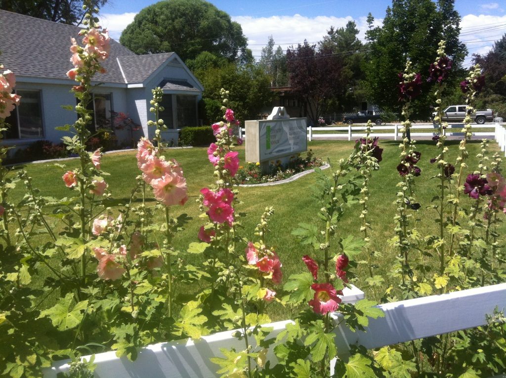 Country View Manor