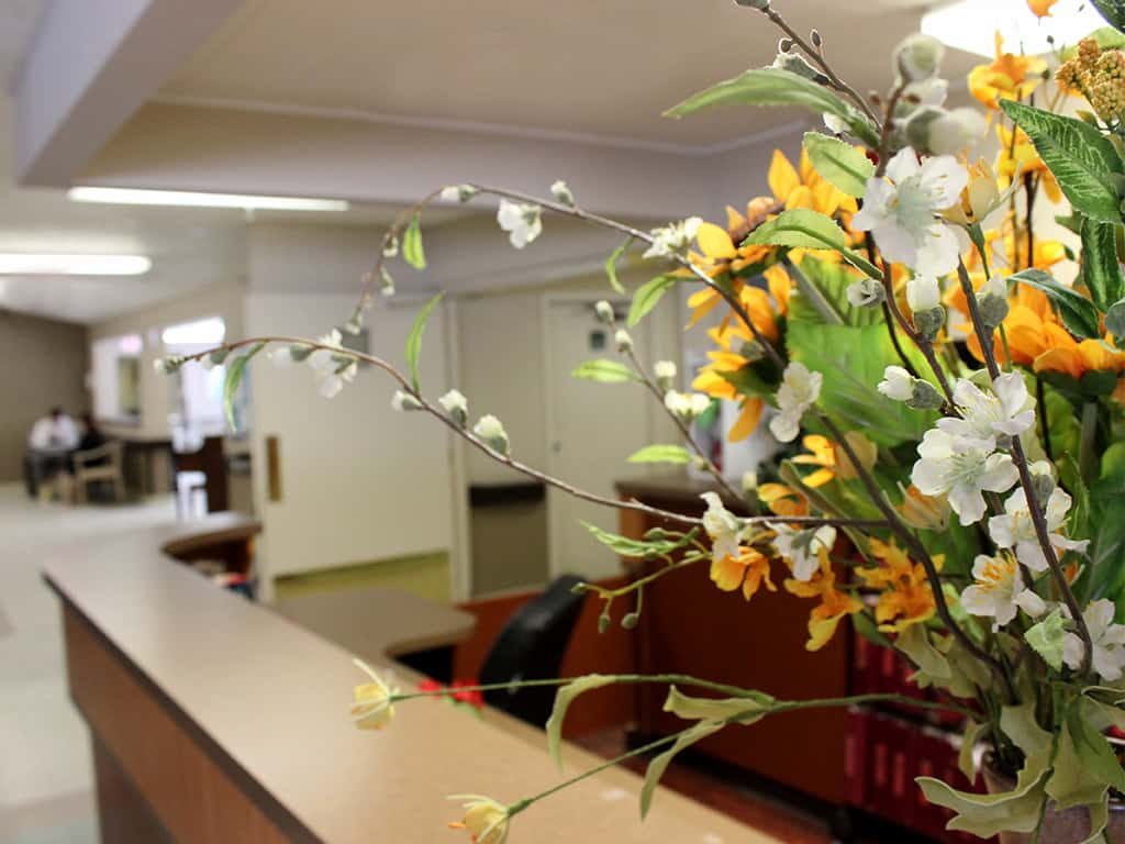 Mount Vernon Nursing And Rehabilitation Center