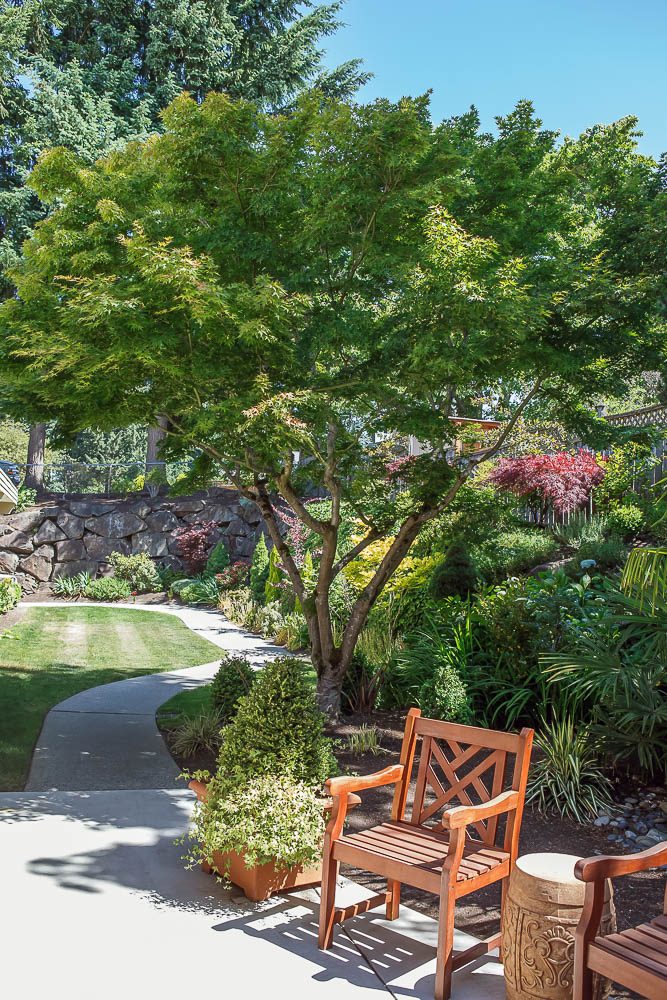 Life Care Center of Kirkland photo 5