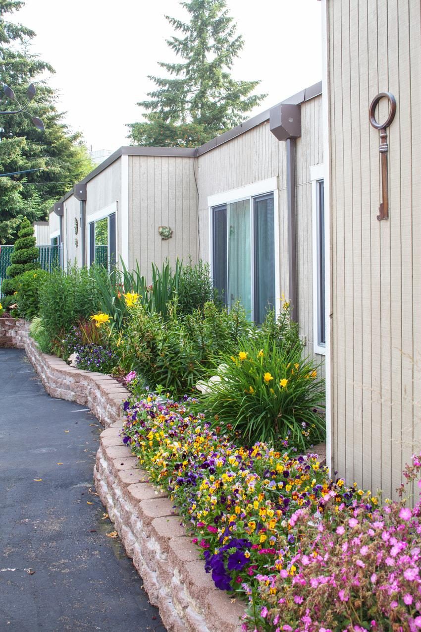 Orchard Park Health and Rehabilitation Center photo 5
