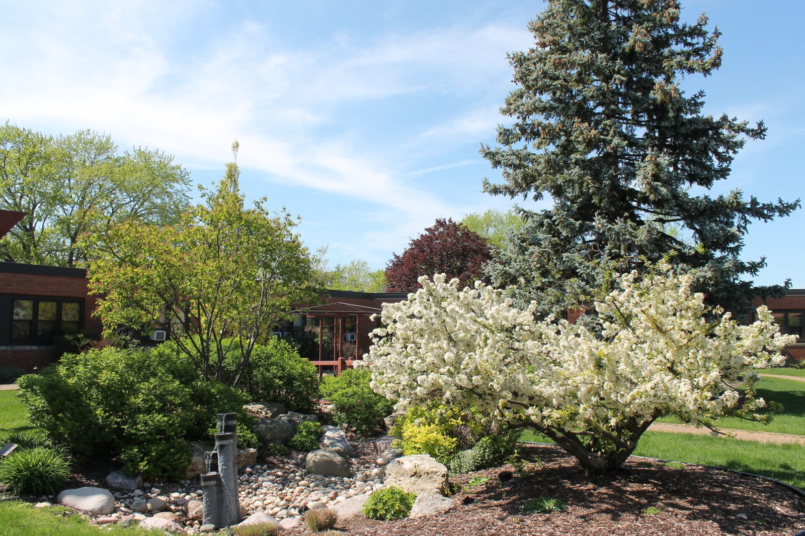Maplewood Center photo 1