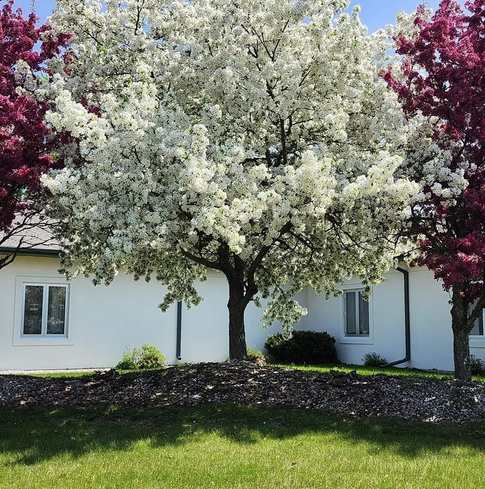 Newcare Residence