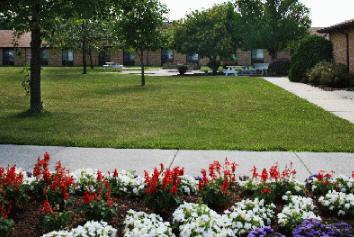 Care Haven Center