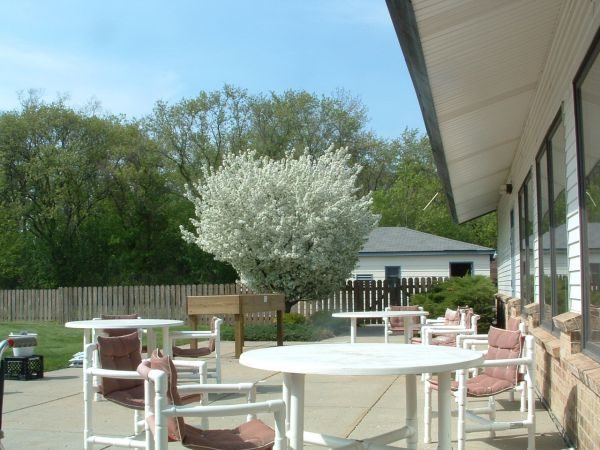 Timber Oaks photo 5