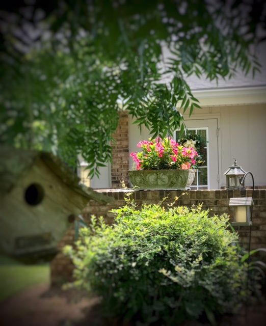 Blackshear Retirement Villas photo 4