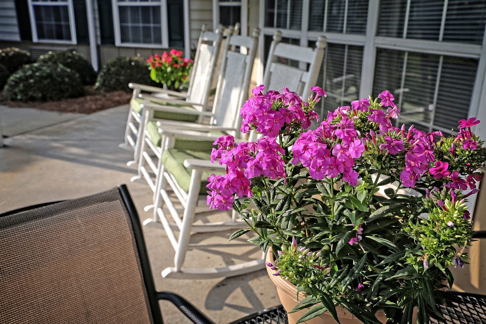 Suites at Poplar Creek (the) photo 5