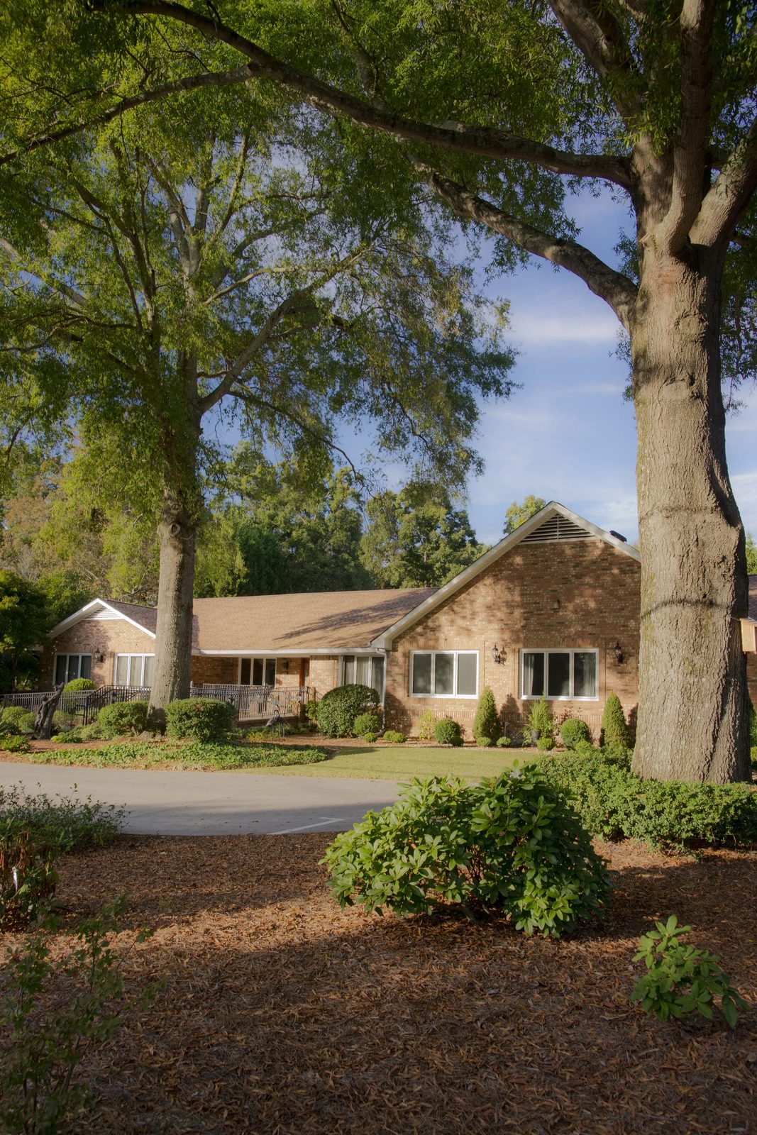 Mayfield Oaks photo 3