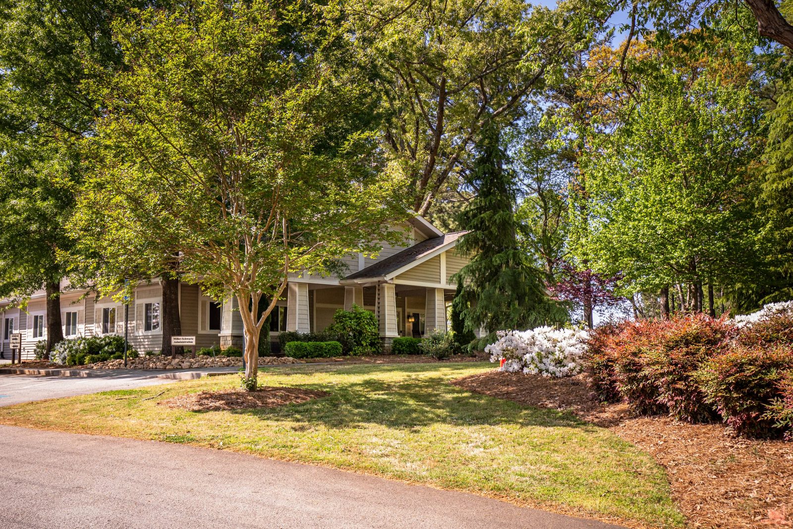 Annandale Village photo 4