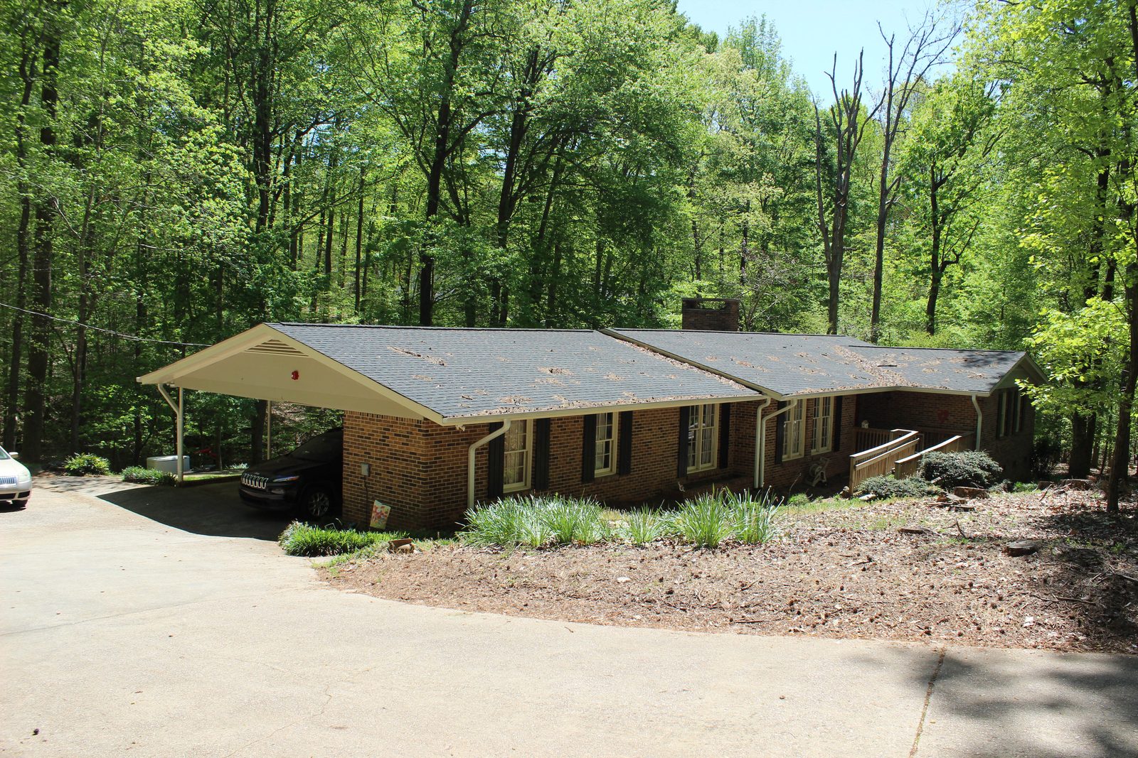 Elsie's Place photo 3