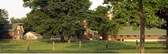 Croasdaile Village photo 1