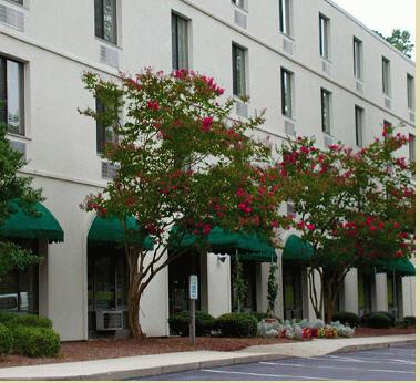 Woodland Place photo 1