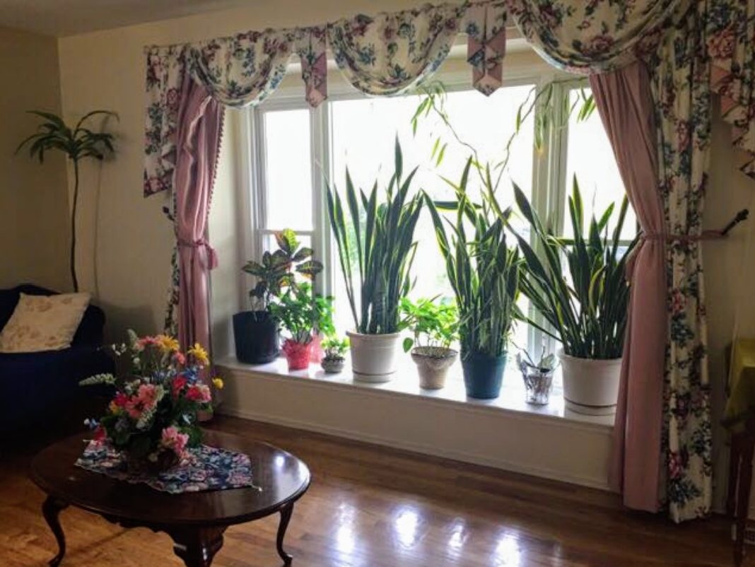 Orchard Hills Manor photo 2