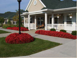 Green Acres of Cadillac photo 1