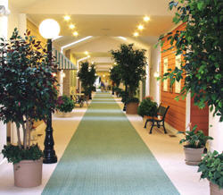 Green Acres of Cadillac photo 2
