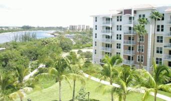 Mangrove Bay