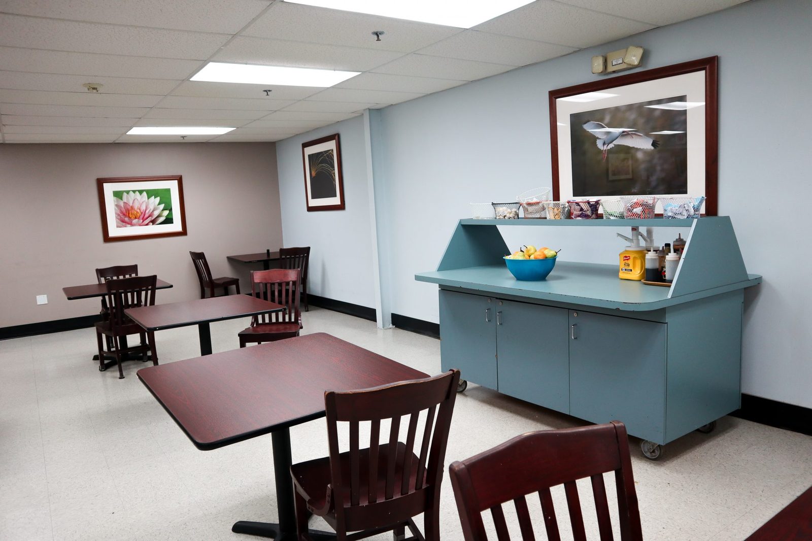 Pathways to Care photo 5