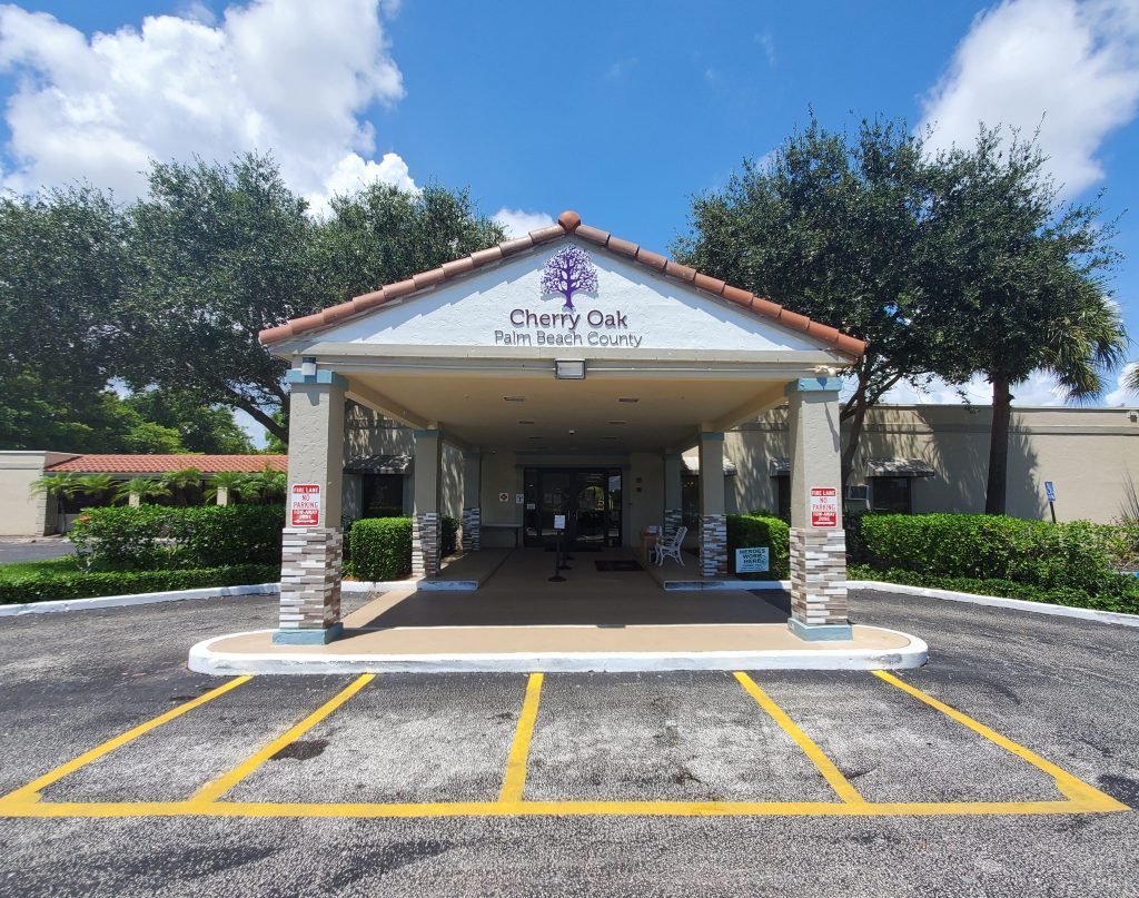 Cherry Oak Palm Beach County