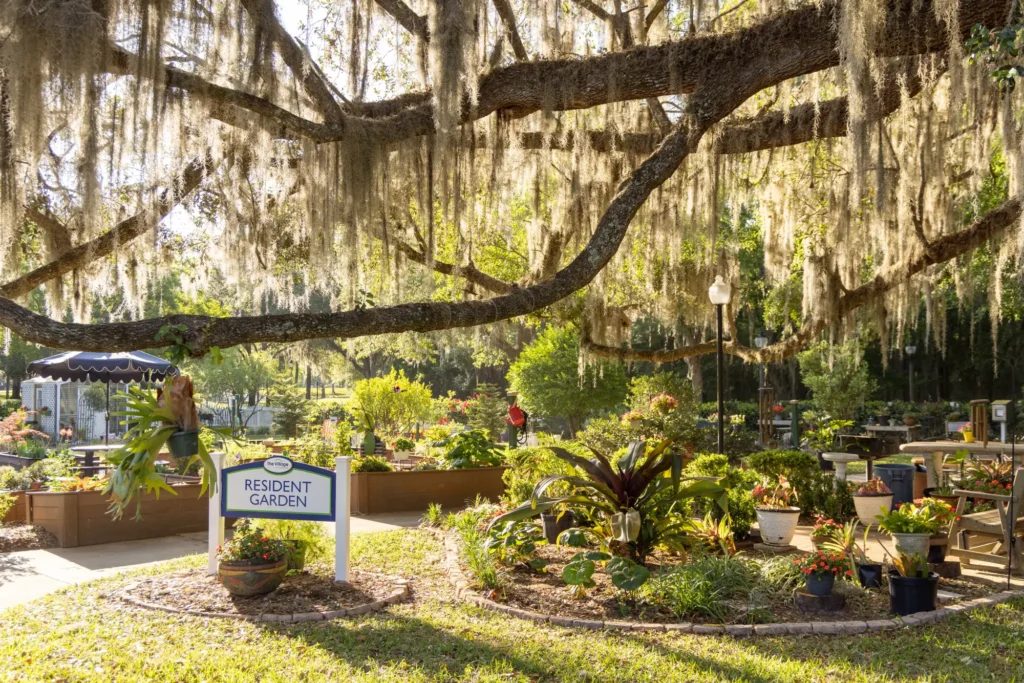 The Village at Gainesville photo 4