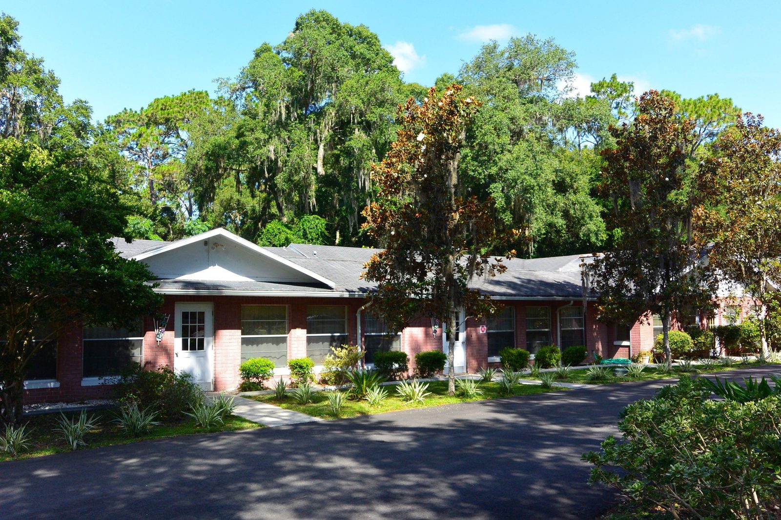 New Horizon Senior Citizen Home photo 1