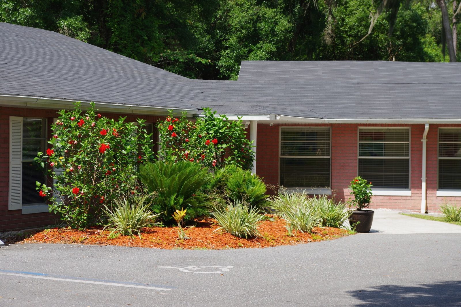 New Horizon Senior Citizen Home photo 2