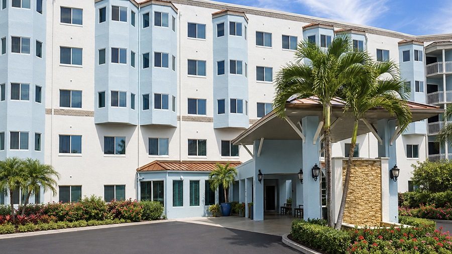 American House Palms