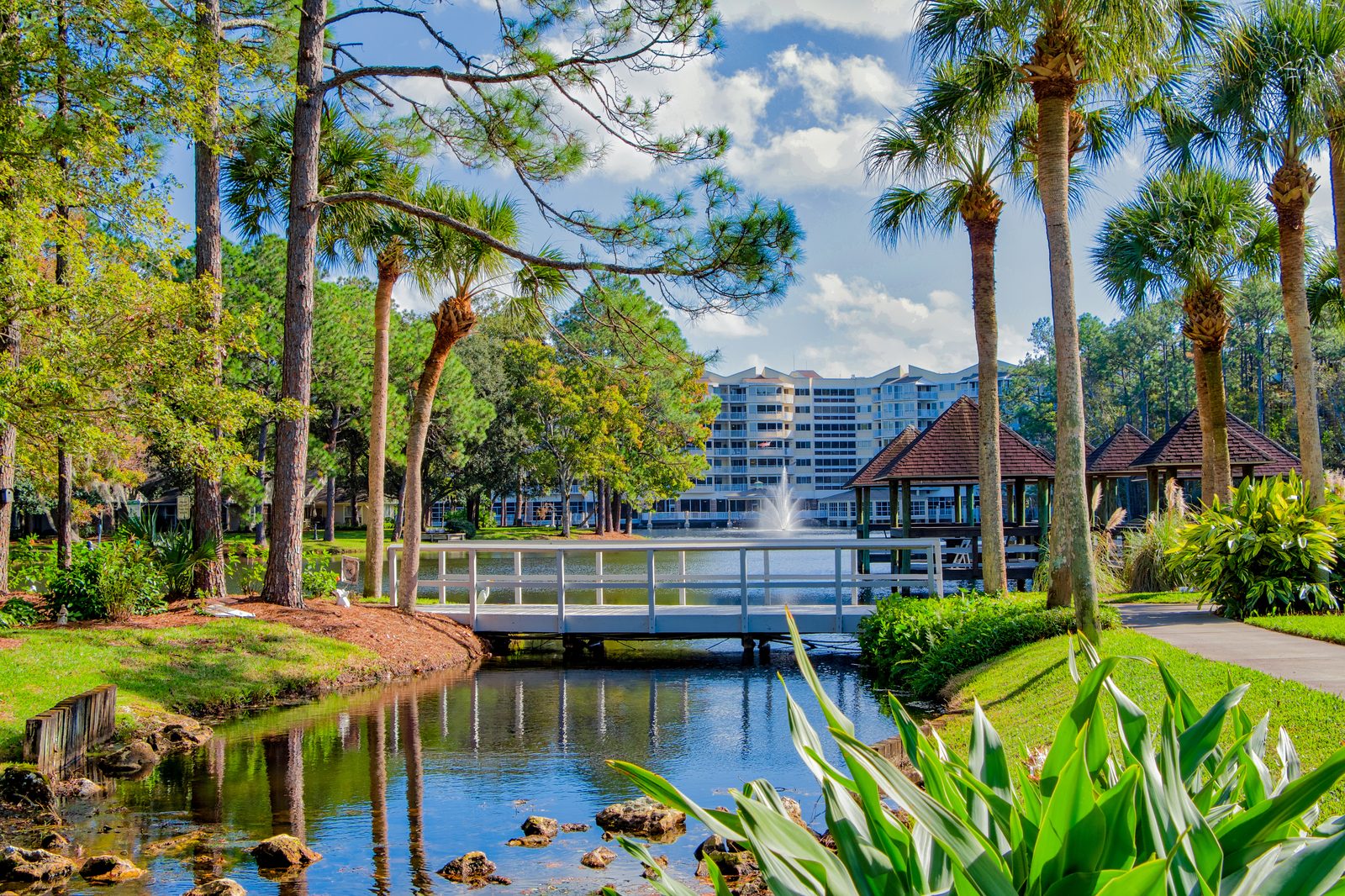 Cypress Village photo 2