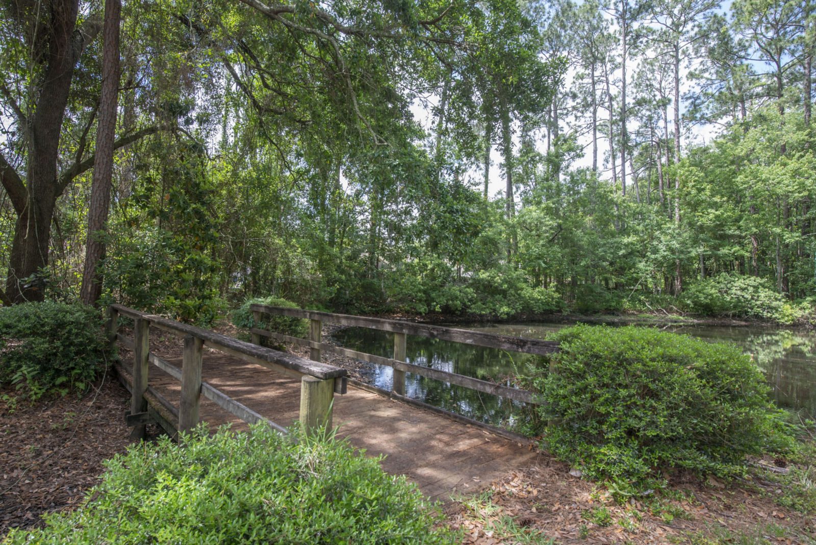 Brookdale Mandarin photo 4