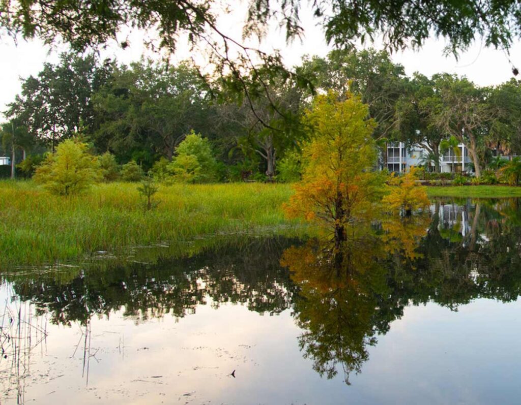 Benderson Family Skilled Nursing and Rehabilitation Center