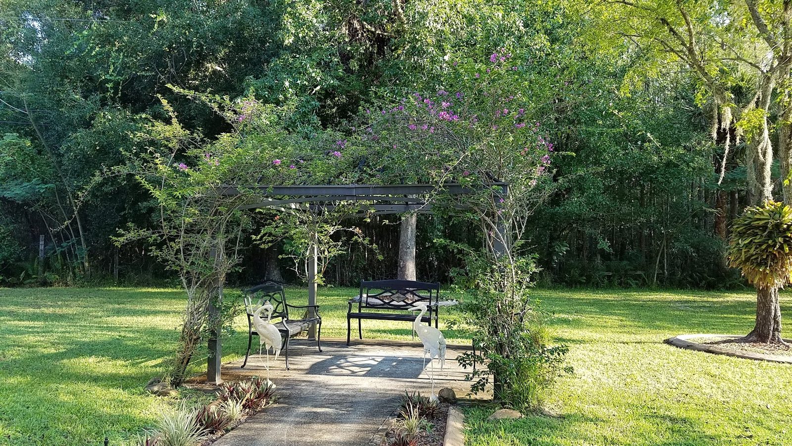 East Lake Manor photo 2