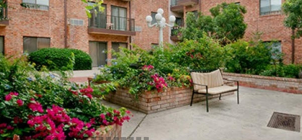 Emeritus at Amber Oaks