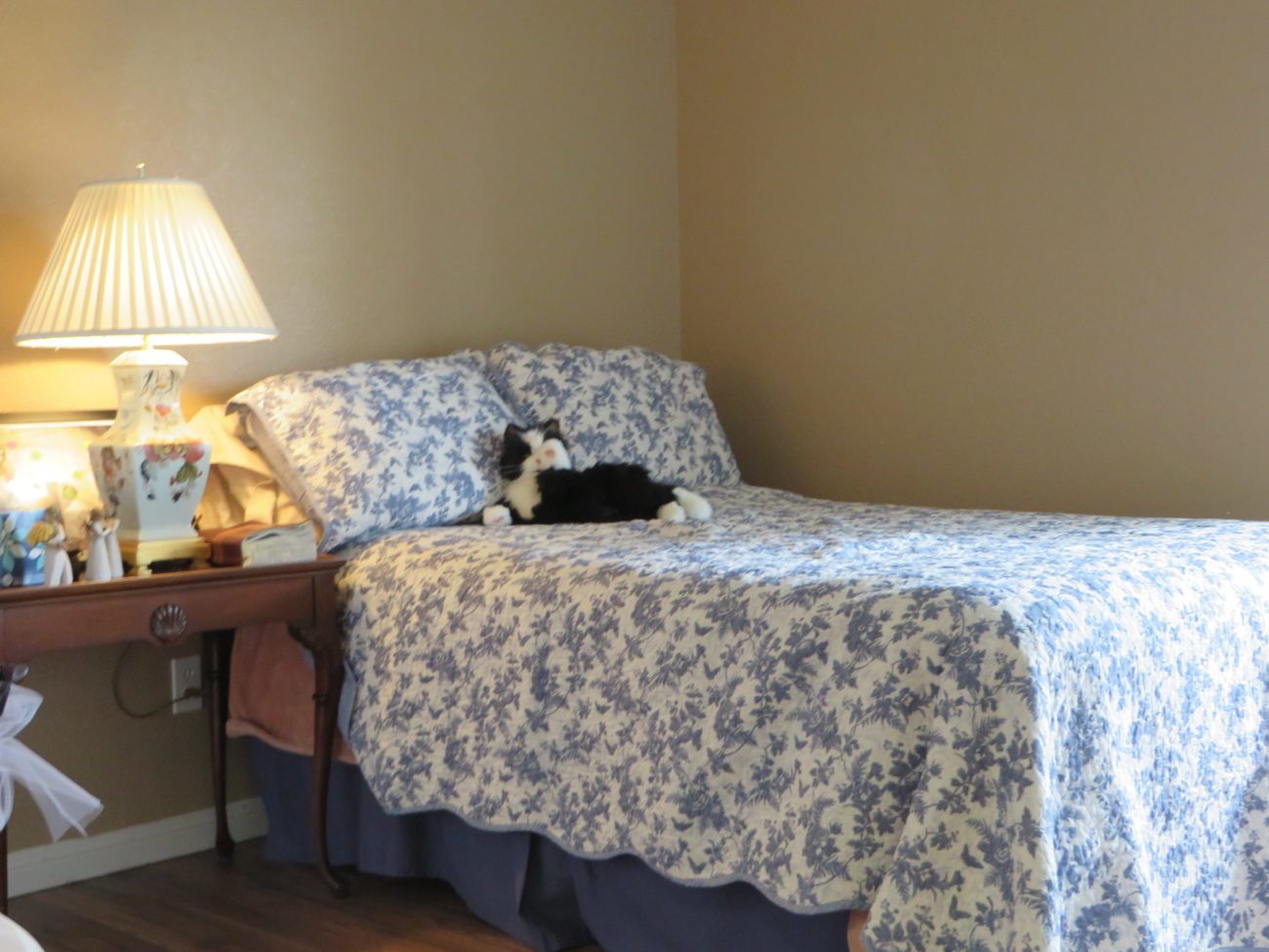 Frankie Lane Assisted Living photo 4