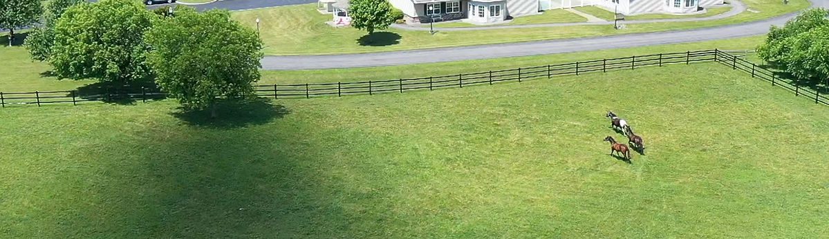Camillus Ridge Terrace
