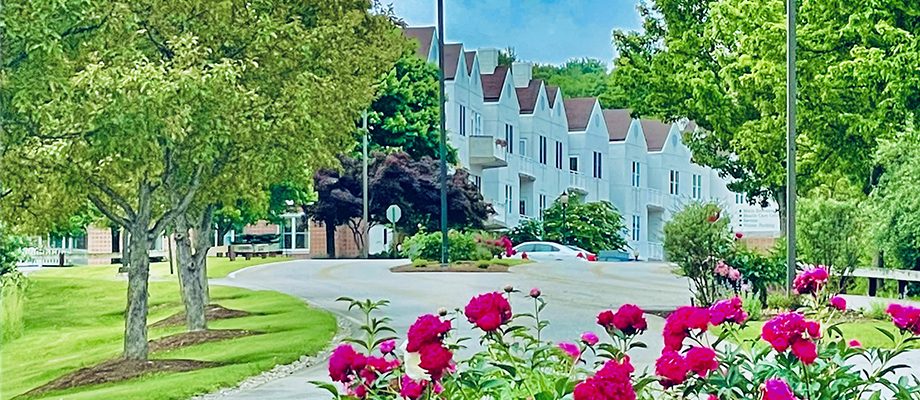 Glen Arden photo 5