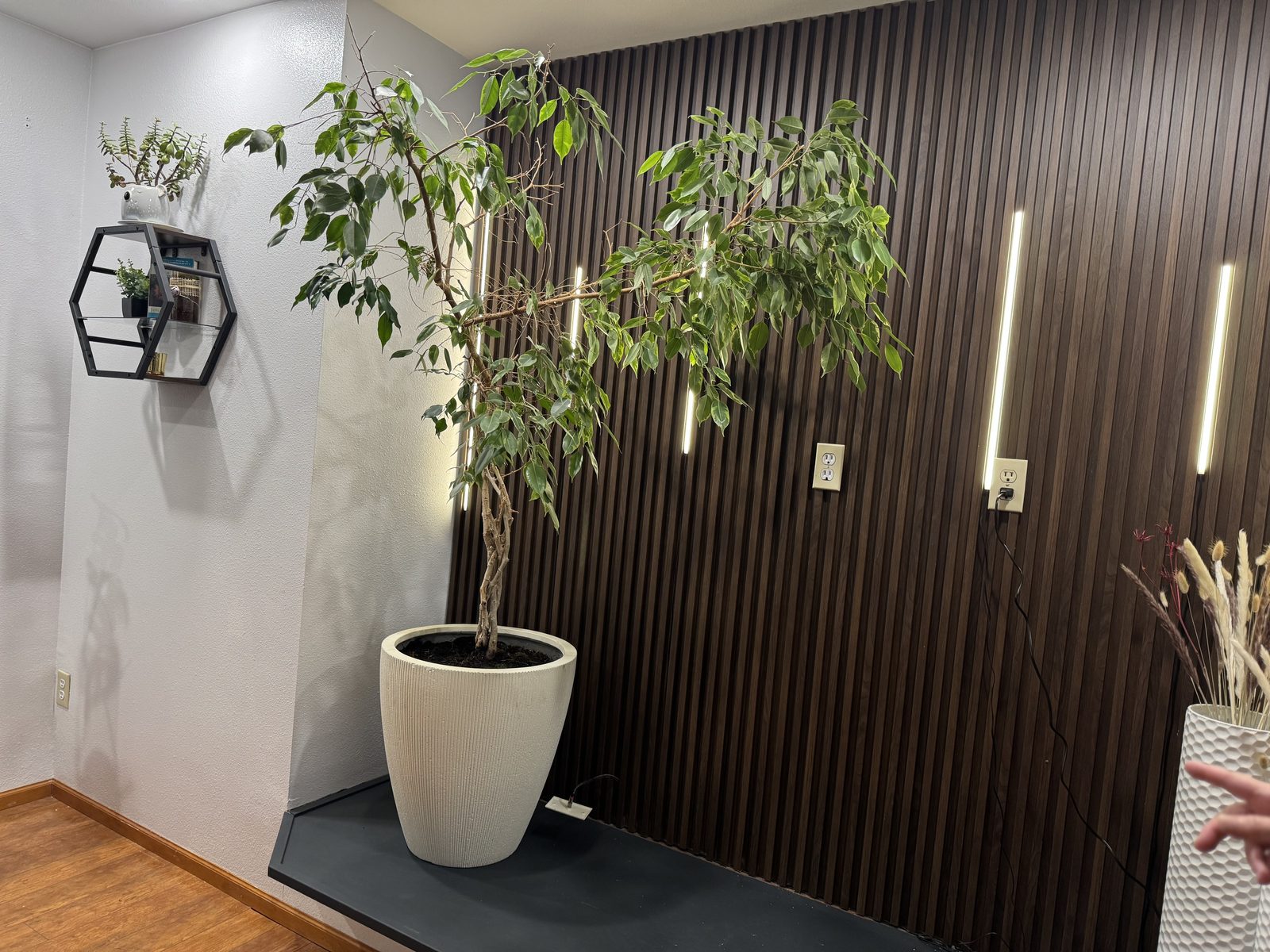 Maple Villa Care photo 3