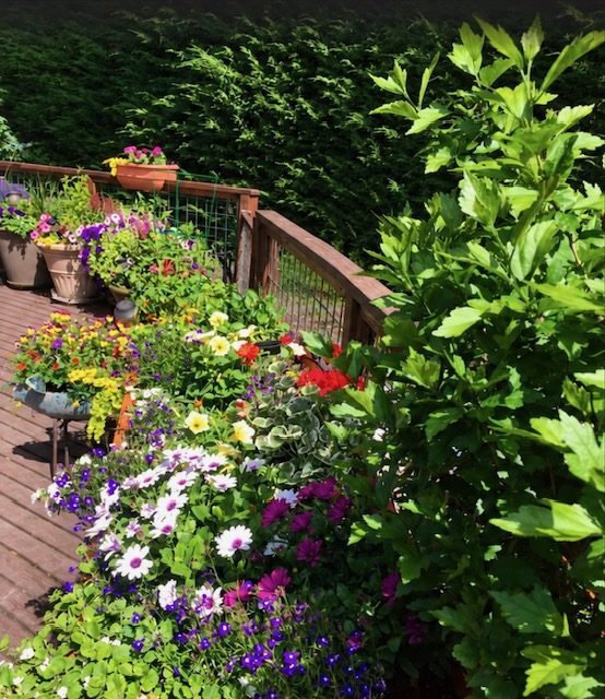 Nora's Home Care photo 5