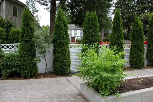 Magnolia Gardens Senior Care Home photo 4