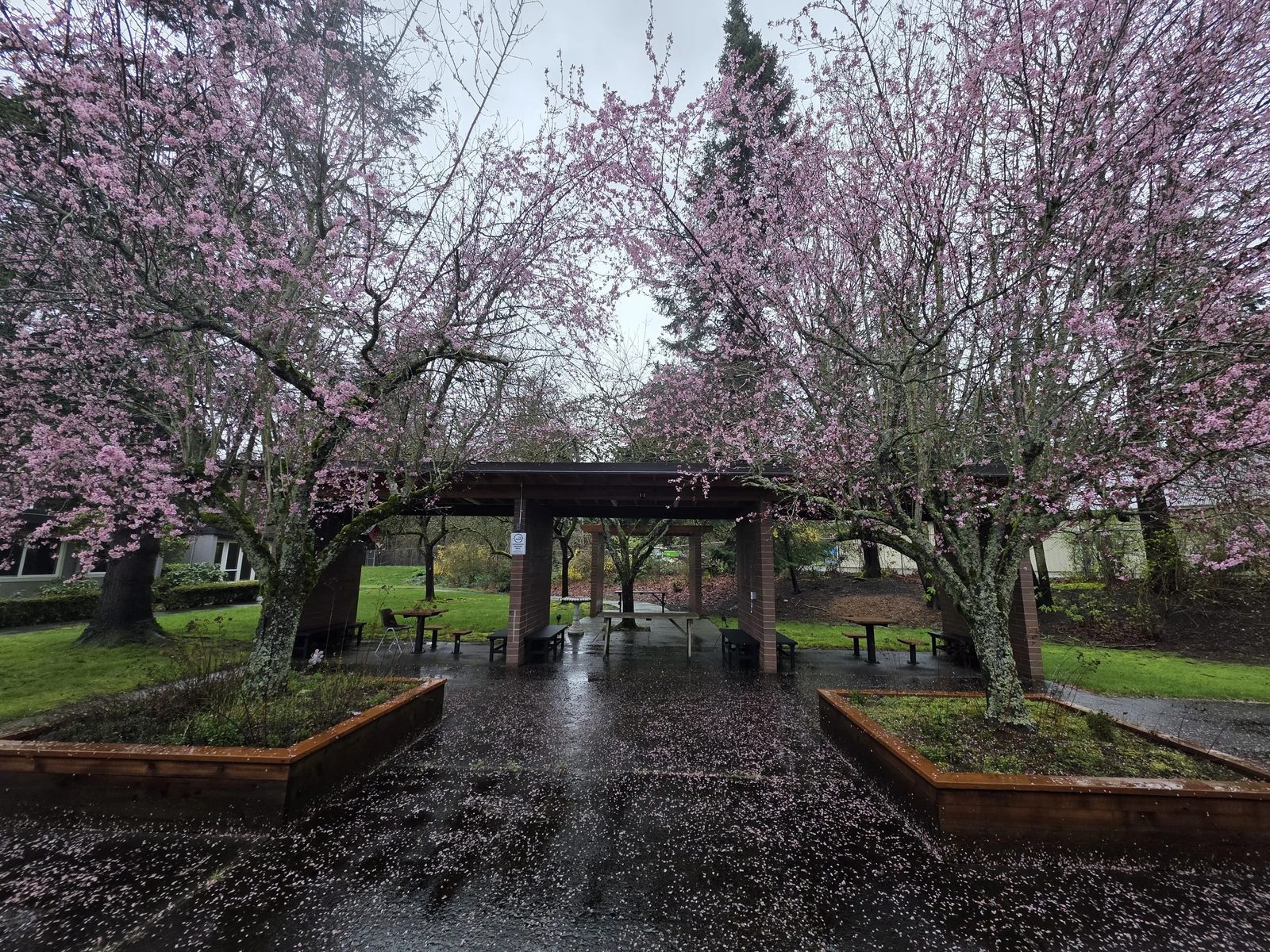 Lake Whatcom Residential & Treatment Center photo 2