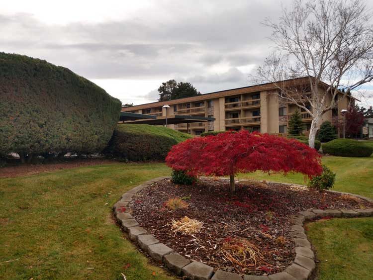 Ponderosa Retirement Center photo 4
