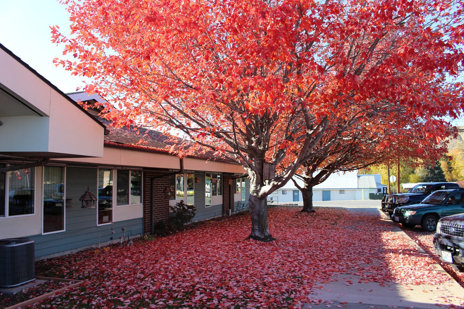 North Valley Assisted Living photo 3