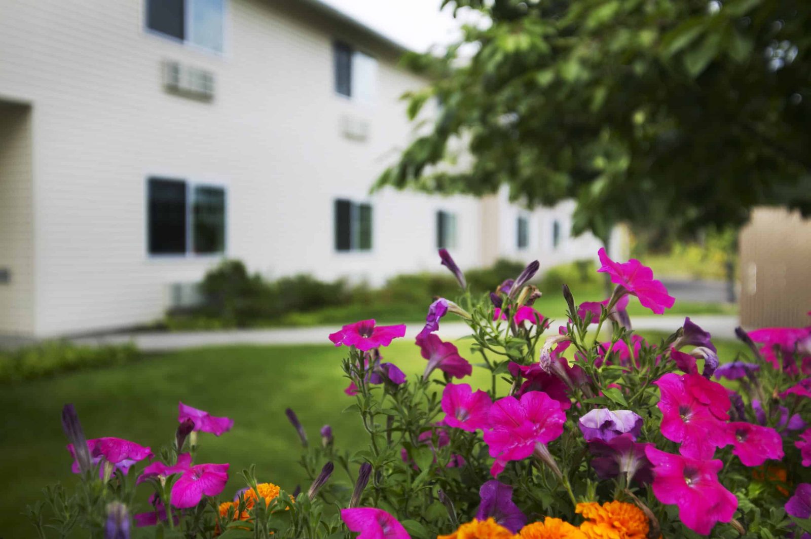 Arcadia at Lookout Ridge Assisted Living photo 3