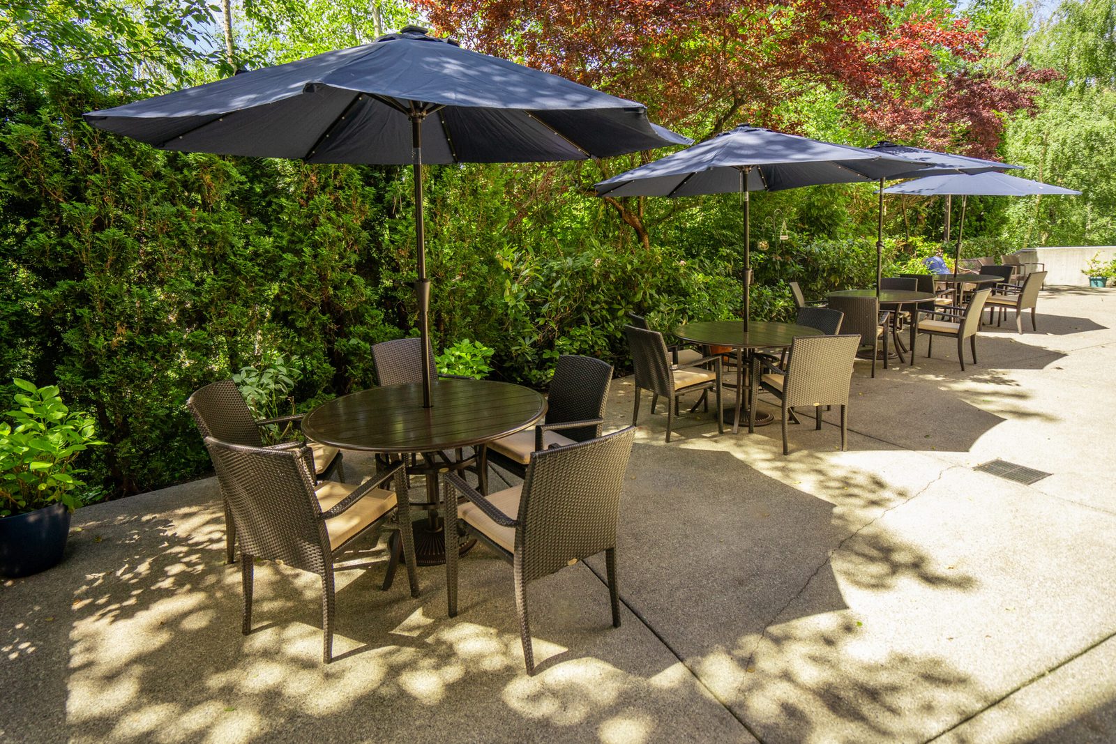 Chateau Pacific Retirement Community photo 4