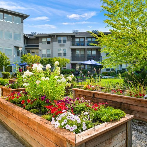 Spring Creek Retirement & Assisted Living Community photo 3